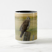 B33 Swainson's Hawk Tasse (Zentrum)