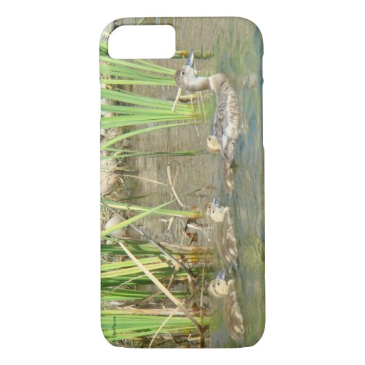 B34 Mutterente und Entenlings Case-Mate iPhone Hülle (Rückseite)
