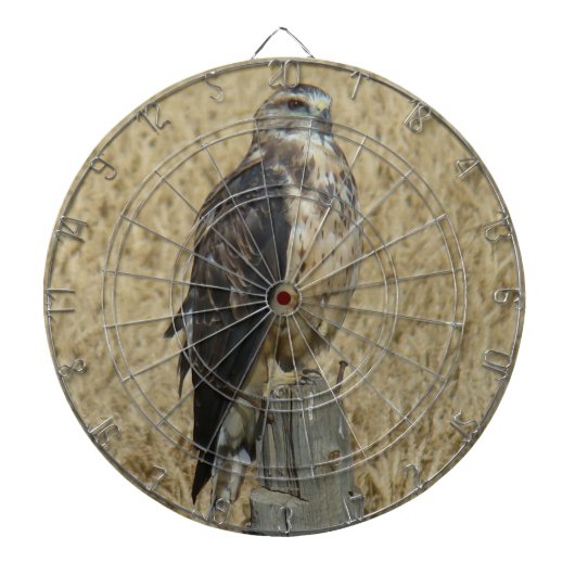 B35 Ferruginous Hawk im Weizenfeld Dartscheibe (vorne)