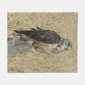 B35 Ferruginous Hawk im Weizenfeld Fleecedecke (Vorderseite (Horizontal))