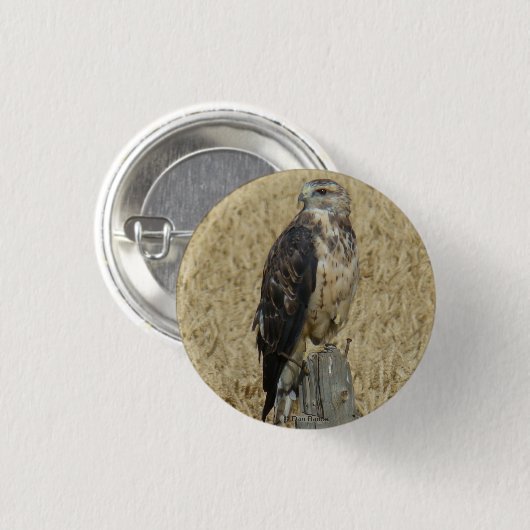 B36 Ferruginous Hawk im Weizenfeld Button (Vorne & Hinten)