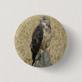 B36 Ferruginous Hawk im Weizenfeld Button (Vorderseite)