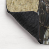 B36 Ferruginous Hawk im Weizenfeld Mousepad (Ecke)