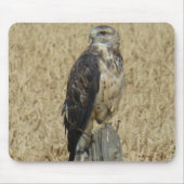 B36 Ferruginous Hawk im Weizenfeld Mousepad (Vorne)