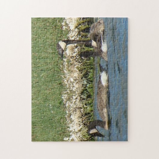 B37 Kanadisches Gänsepuzzle Puzzle (Vertikal)