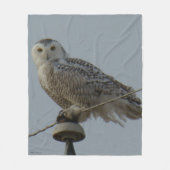 B38 Schneeauschale auf Isolator Fleecedecke (Vorderseite)