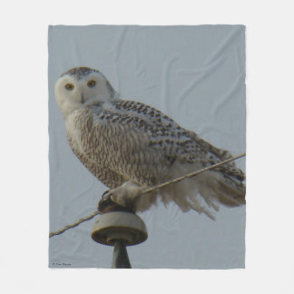 B38 Schneeauschale auf Isolator Fleecedecke