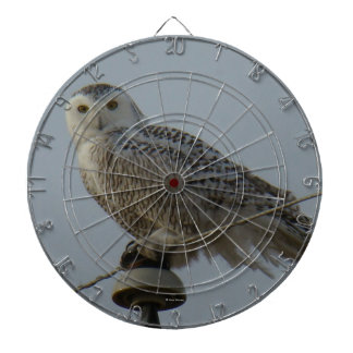 B38 Schneeauwl Dartscheibe