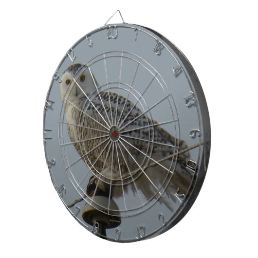 B38 Schneeauwl Dartscheibe (Vorderseite rechts)