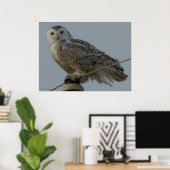 B38 Schneeauwl Poster (Heimbüro)