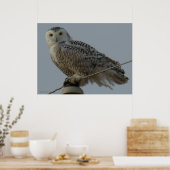 B38 Schneeauwl Poster (Küche)