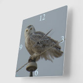B38 Schneeauwl Quadratische Wanduhr (Winkel)