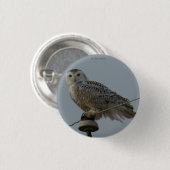 B38 Snowy Eule Button (Vorne & Hinten)