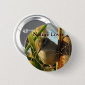 B3 Marsh Wren Button (Vorne & Hinten)