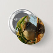 B3 Marsh Wren Button (Vorne & Hinten)
