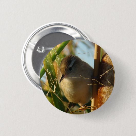 B3 Marsh Wren Button (Vorne & Hinten)