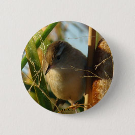 B3 Marsh Wren Button
