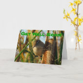 B3 Marsh Wren in Cattails Karte (Gelbe Blume)
