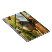B3 Marsh Wren in Cattails Notizblock (Rechte Seite)