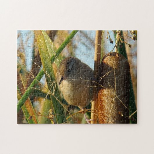 B3 Marsh Wren in Cattails Puzzle (Horizontal)