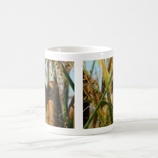 B3 Marsh Wren Kaffeetasse (Mittel)