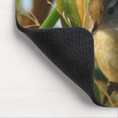 B3 Marsh Wren Mousepad (Ecke)
