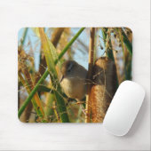 B3 Marsh Wren Mousepad (Mit Mouse)