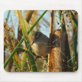 B3 Marsh Wren Mousepad