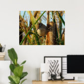 B3 Marsh Wren Poster (Heimbüro)