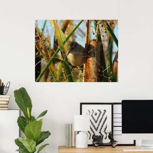 B3 Marsh Wren Poster (Heimbüro)