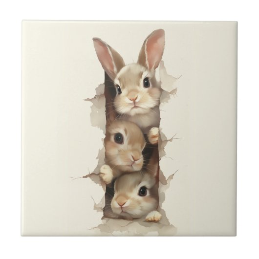 B3 Three Bunnies 3D Illusion Fliese (Vorderseite)
