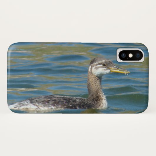 B40 Junger Rothalstaucher Case-Mate iPhone Hülle (Rückseite (Horizontal))