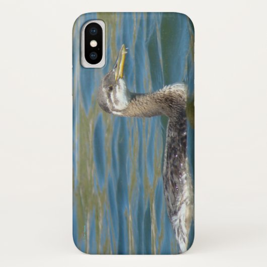 B40 Juvenile Red Throated Grebe Case-Mate iPhone Hülle (Rückseite)
