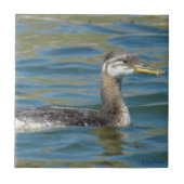 B40 Rothalskraut Fliese (Vorderseite)