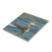 B40 Rothalskraut Fliese (Seite)