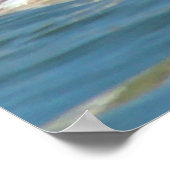 B40 Rothalskraut Poster (Ecke)