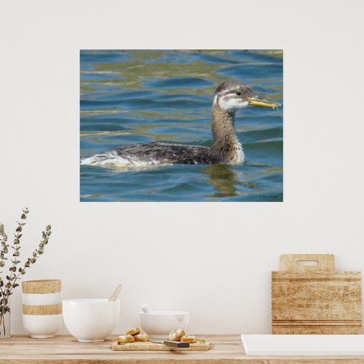 B40 Rothalskraut Poster (Küche)