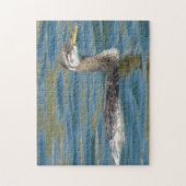 B40 Rothalskraut Puzzle (Vertikal)