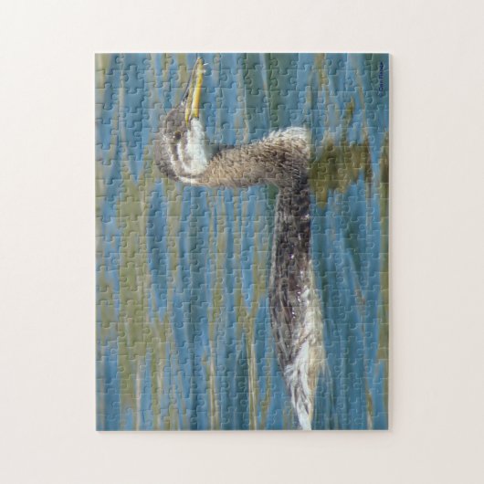 B40 Rothalskraut Puzzle (Vertikal)