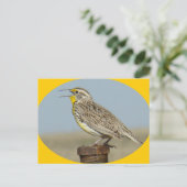 B42 Western Meadowlark Postkarte (Stehend Vorderseite)
