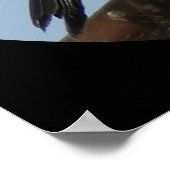 B43 Schwarze Chickade Poster (Ecke)