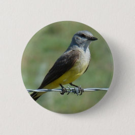 B44 Western Kingbird Button