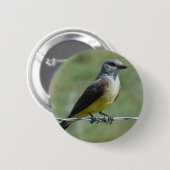 B44 Western Kingbird Button (Vorne & Hinten)