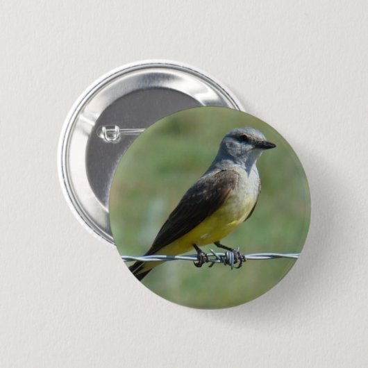 B44 Western Kingbird Button (Vorne & Hinten)