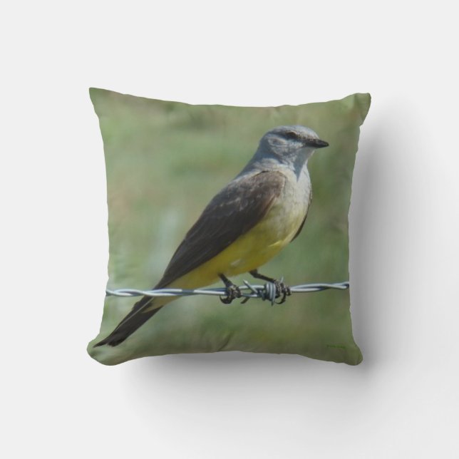 B44 Western Kingbird Kissen (Vorderseite)