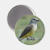 B44 Western Kingbird Magnet (Vorderseite/Rückseite)