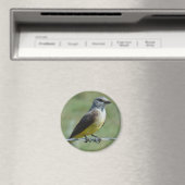 B44 Western Kingbird Magnet (In Situ (Geschirrspüler))