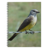 B44 Western Kingbird Notizblock (Vorderseite)