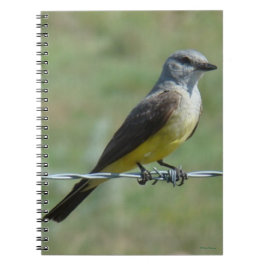 B44 Western Kingbird Notizblock