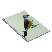 B45 Western Kingbird Notizblock (Rechte Seite)